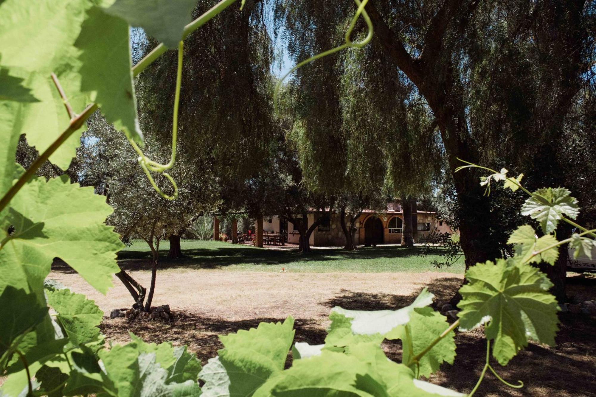 Rancho Toros Pintos Villa Valle de Guadalupe Rom bilde